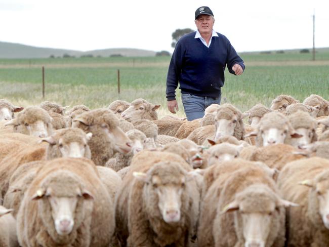 Sheep farmer and former National Wild Dog Stakeholder Consultative Group chairman Geoff Power on his property near Jamestown.