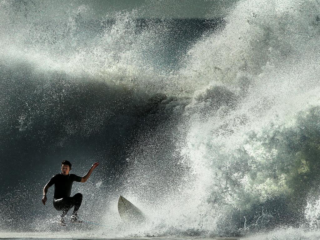 Sydney surfers brave monster waves as huge swell batters coastline