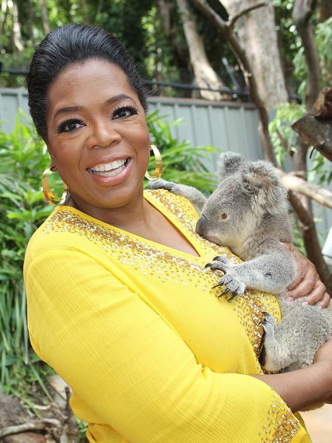 Oprah Winfrey cuddles Elvis the koala at the Hamilton Island Wildlife Park. Photo: Getty Images)