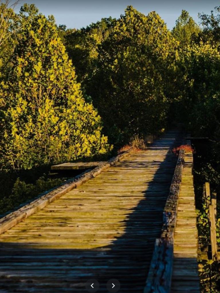 Monon High Bridge, Delphi Indiana Picture: Google