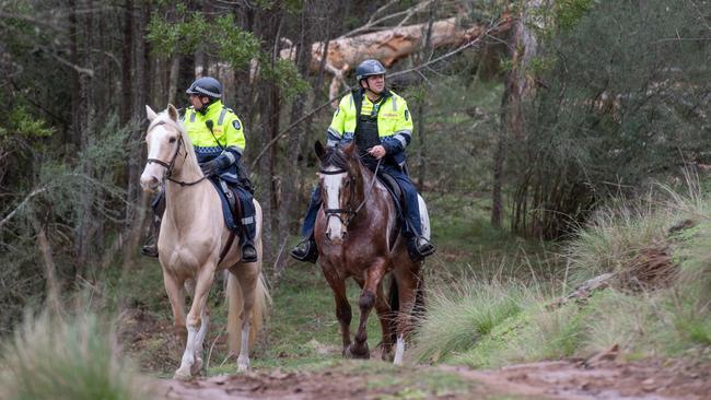 Mounted police in bushland near Dargo. Picture: Jason Edwards