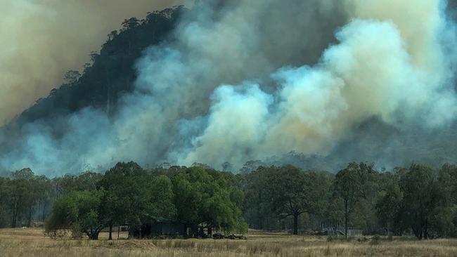 Smoke taint from bushfires has hit Hunter Valley crops hard this summer. Supplied.