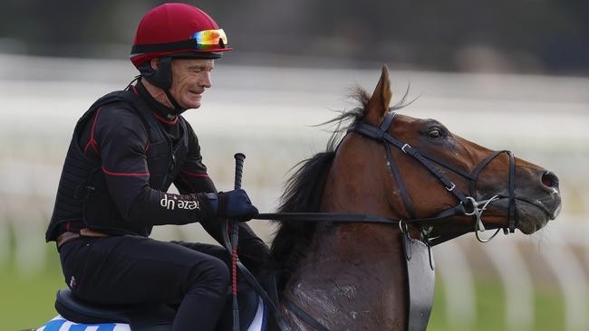 Dean Gallagher puts Jan Brueghel through his paces at Werribee. Picture: Michael Klein