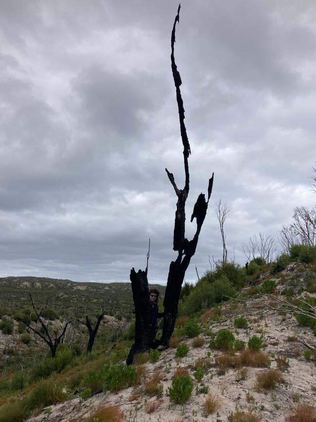 April 2021 Snake Lagoon. Picture: Flinders University