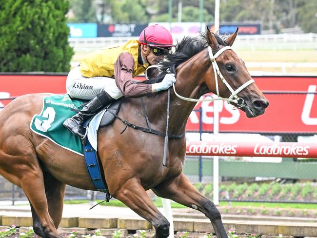 Field Of Play ridden by Blake Shinn wins the Drummond Golf Handicap at Moonee Valley Racecourse on December 28, 2024 in Moonee Ponds, Australia. (Photo by Reg Ryan/Racing Photos via Getty Images)