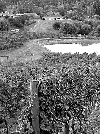 The property at Verdun. Picture: Advertiser library