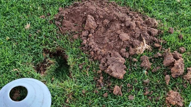 Holes on one of the Hills ovals. Picture: Marc Richards