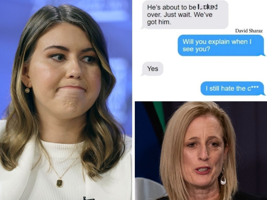 The texts between Brittany Higgins and David Sharaz discussing plans to enlist senior Labor figures have been revealed.