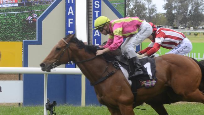 John Shelton trained Tarbert (1) edges All Stand in the Race 1 $22,000 Tarbert for the Kosciuszko Open 1020m at the Clarence River Jockey Club on Tuesday, October 1, 2019.