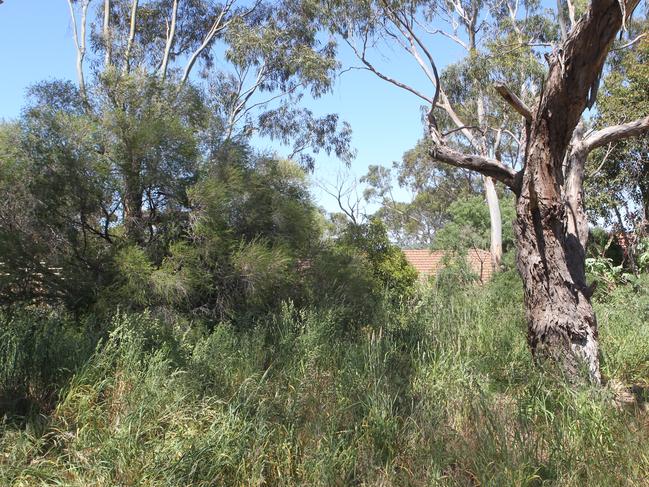 Houses in high risk fire danger areas in the Adelaide Hills prepare for the fire season by clearing vegetation - Properties at Yarabee Road, Greenhill with overgrown scrub. House at 150 Yarrabee Road.
