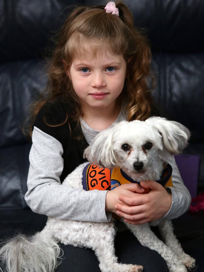 Synti and CareDog Lilly. Picture: Sue Graham