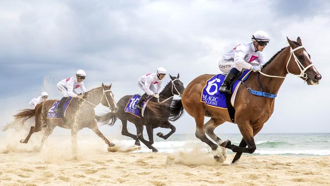 Horses took to the beach for the Barrier Draw this morning. Picture: NIGEL HALLETT