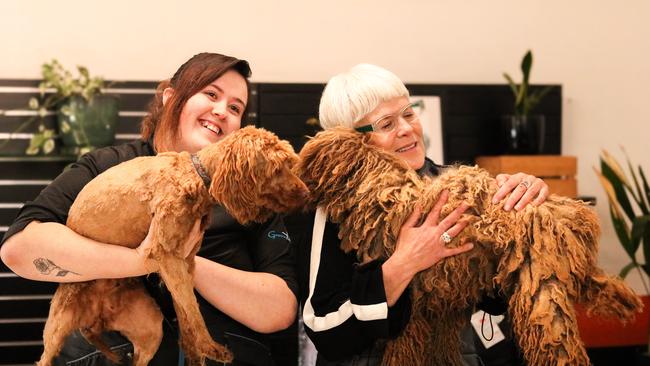 Wags and Tails manager Shari Rodman and RSPCA Tasmania chief executive Andrea Dawkins with two of the rescued labradoodles. Picture: Stephanie Dalton