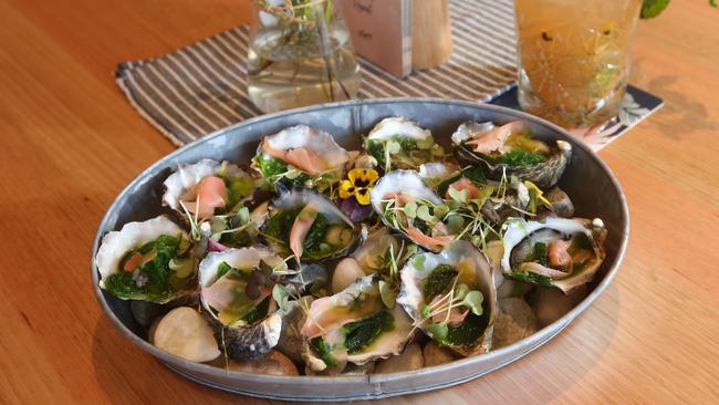 Oysters are just one of the many seafood dishes on offer on the new The Miami menu. Picture: Mike Batterham.