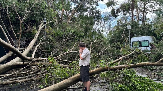 Damage from fallen trees caused by the Christmas Day storm on the Gold Coast. Picture: Supplied.