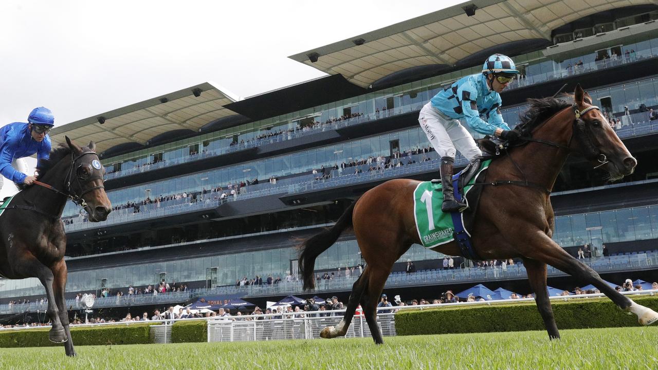 Williamsburg closed off well last start and is suited stepping up in distance on Saturday. Picture: Getty Images