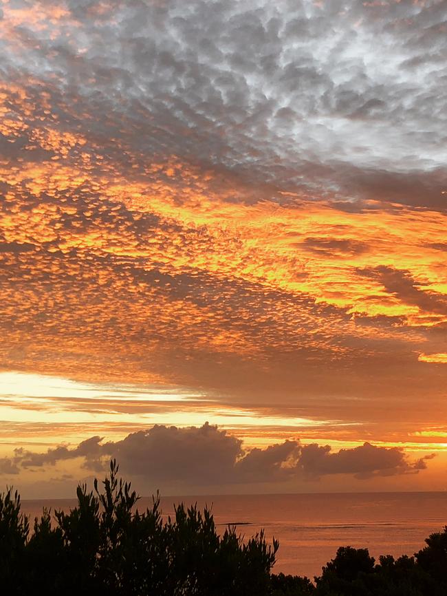 Lord Howe Island. Picture: Susan Kurosawa