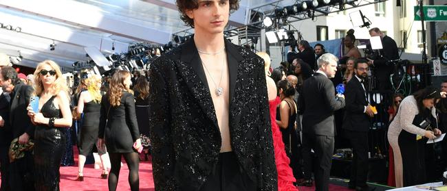 US-French actor Timothee Chalamet on the red carpet. (Photo by Valerie Macon / AFP)