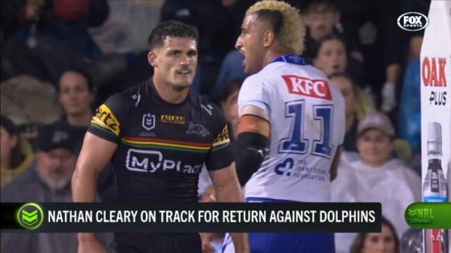 Cleary to return for Dolphins clash