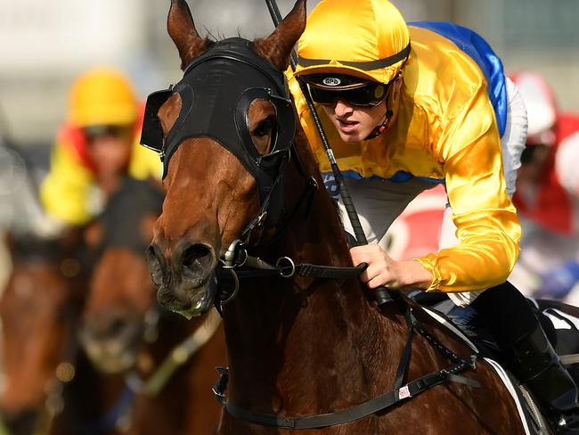 Jackson Murphy rides Magstock to victory in the Benchmark 85 Handicap at Eagle Farm.