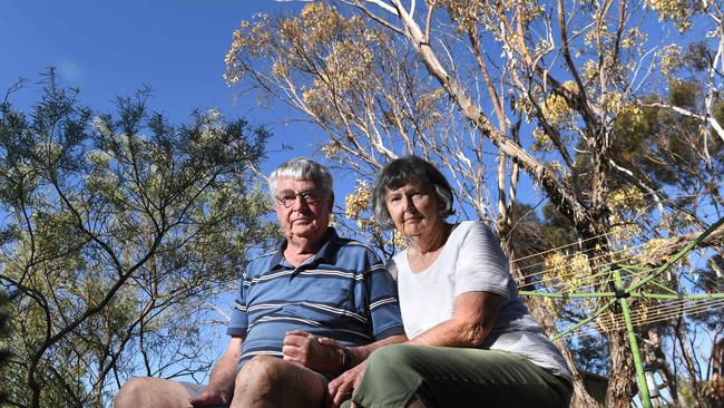 Kevin and Marilyn Collins with the large tree on their property that died last year at the northern end of St Kilda. Picture: Tricia Watkinson