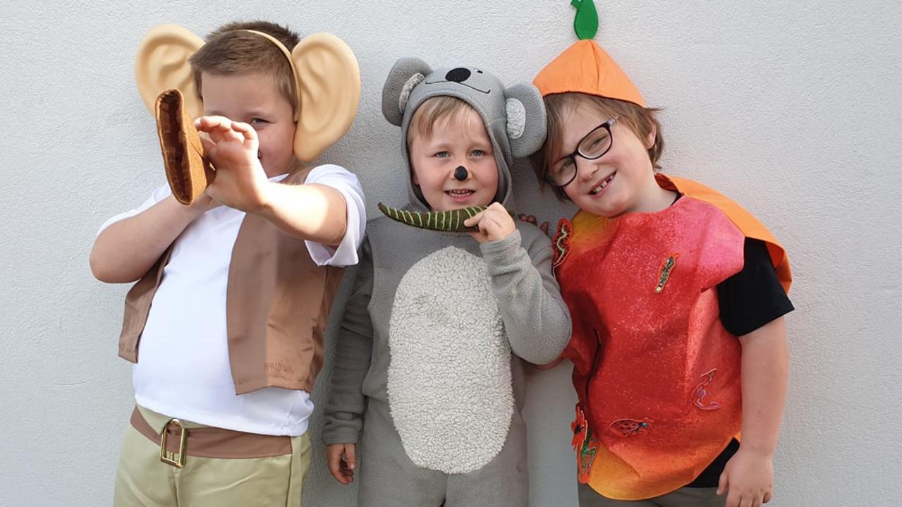 Book Week Tasmania 2020: The BFG, Koala Lou and The Giant Peach! Allison Young