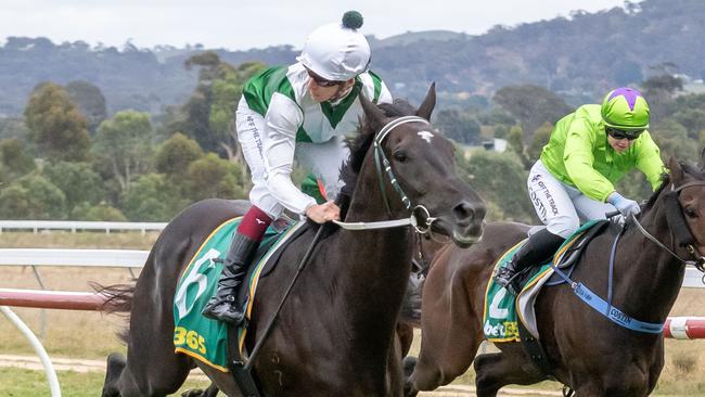 Jimmy Manolo is a great chance to post back-to-back wins when he heads to Moe on Tuesday. Picture: Racing Photos via Getty Images.