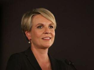 Shock as Plibersek pulls out of leadership race