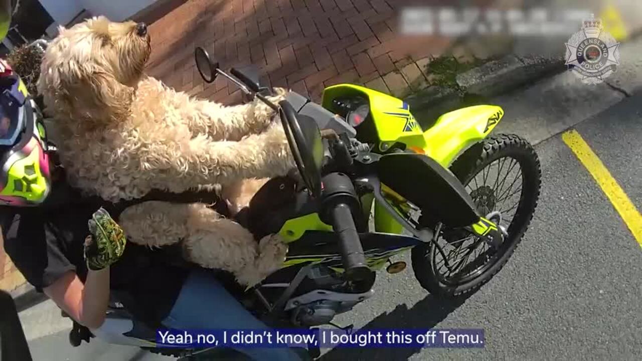 Motorcyclist with dog pulled over by police