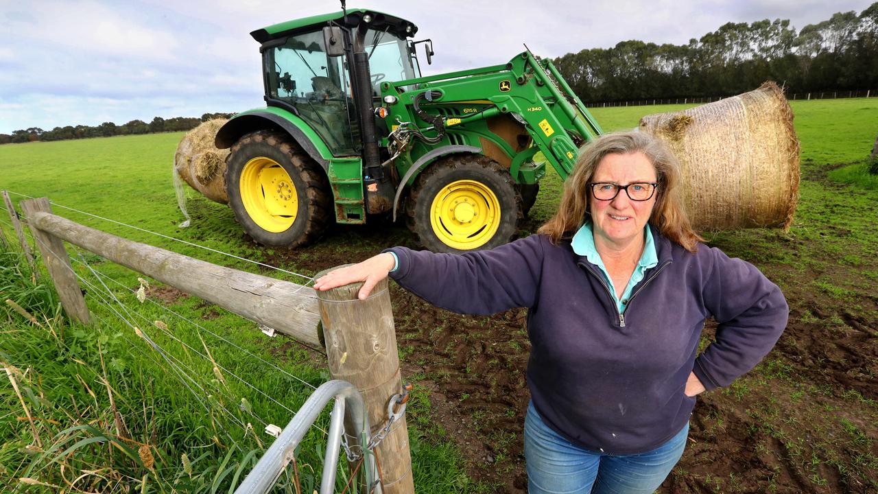 ‘Proper soaking’: Happy farmers as more rain dampens Geelong