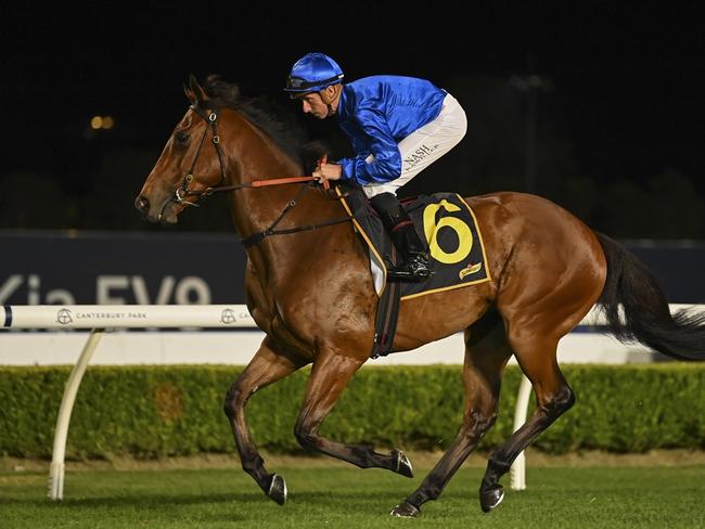 Ron Dufficy is keen to back the promising Kerguelen at Rosehill Gardens on Saturday. Picture: Bradley Photos