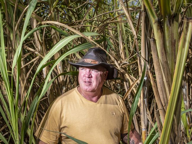 Long-term Maclean cane farmer Ross Farlow. Picture: Adam Hourigan.