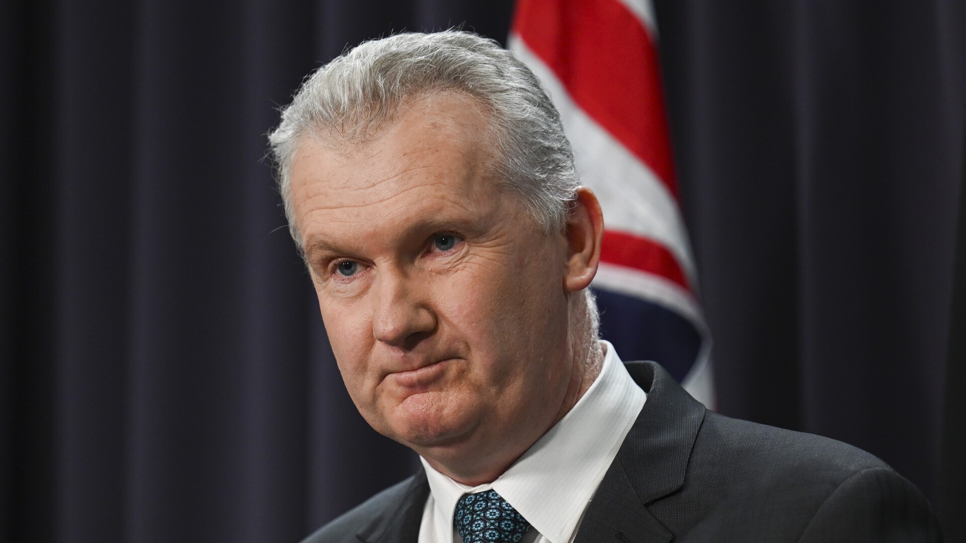 Tony Burke is ‘diminishing and demeaning’ the joy of becoming an Australian