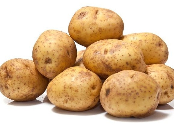 Sebago potatoes.