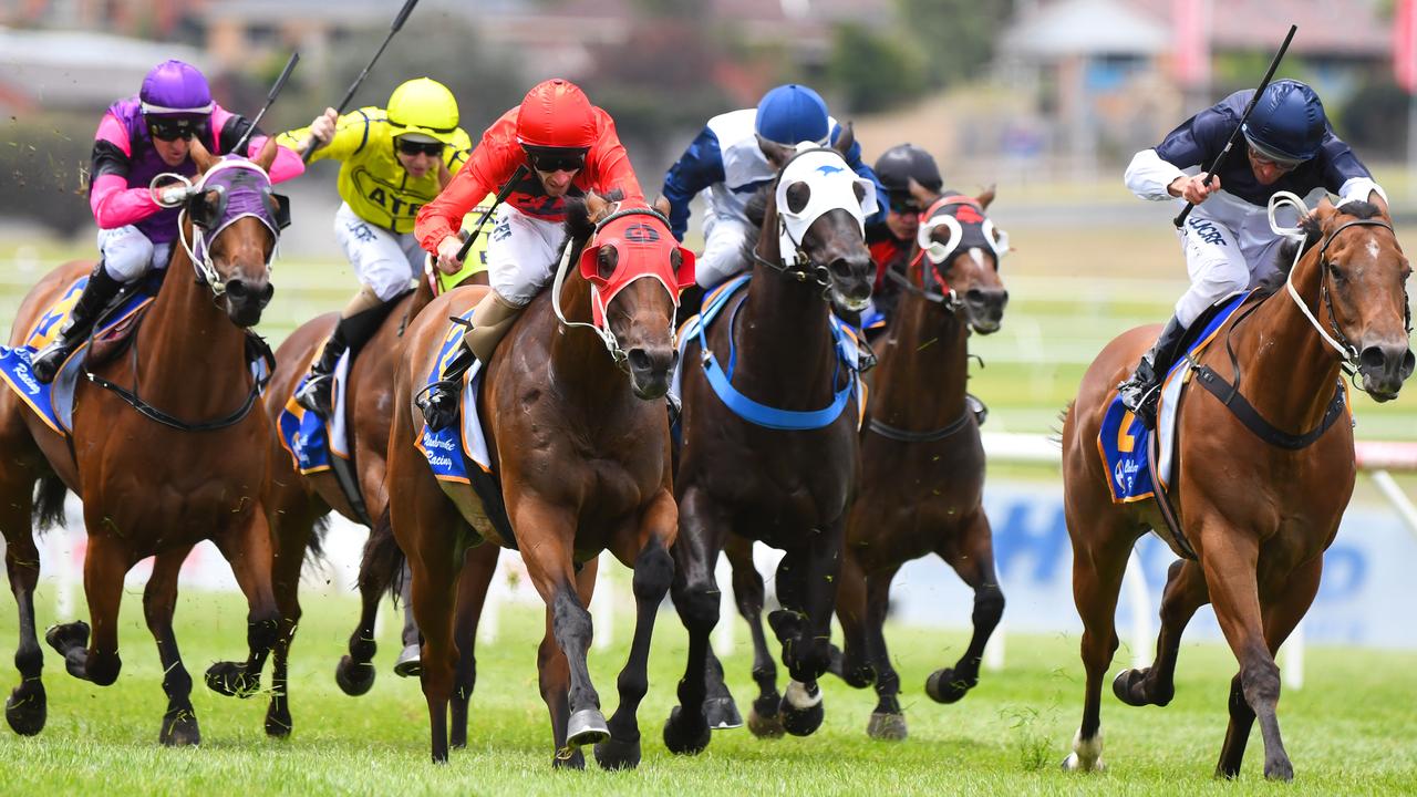 The Thoroughbred Aftercare Welfare Working Group has spent more than a year researching the best way for Australian racing to look after racehorses once their careers on the track are over.
