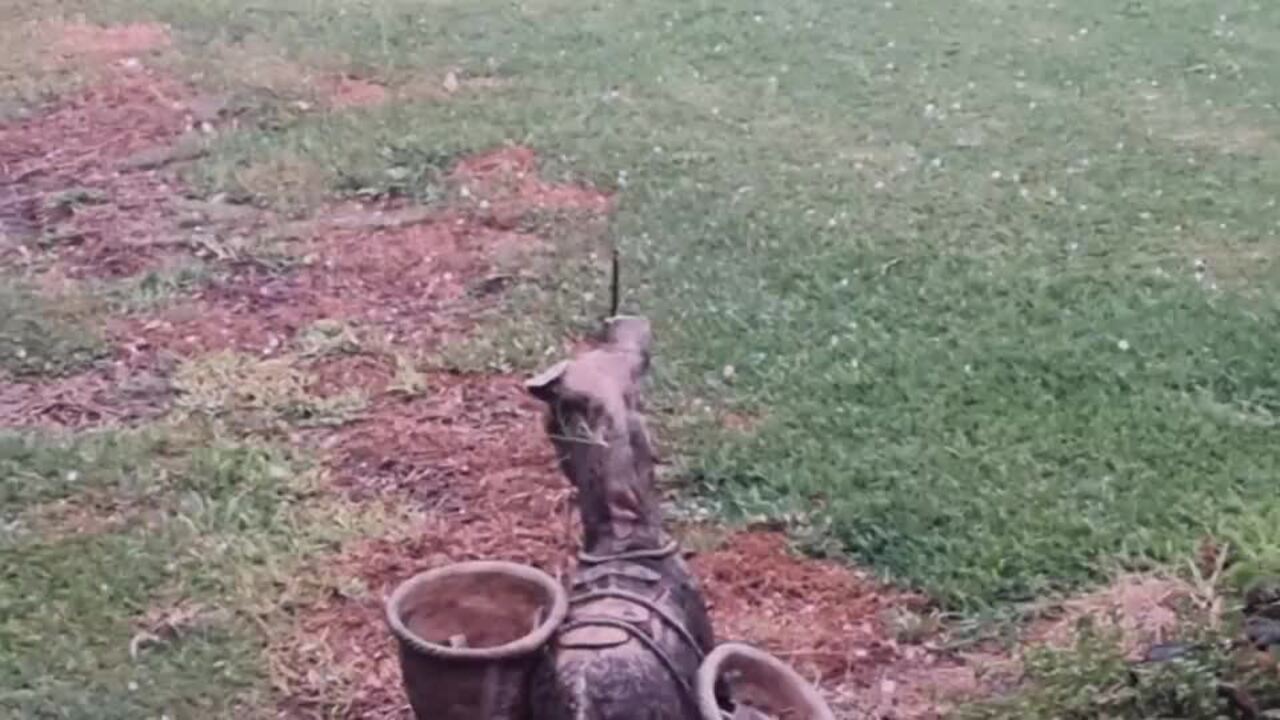 Winds and hail lash Winton in Qld