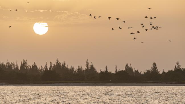 The Sine Saloum Delta is excellent for bird-watching.