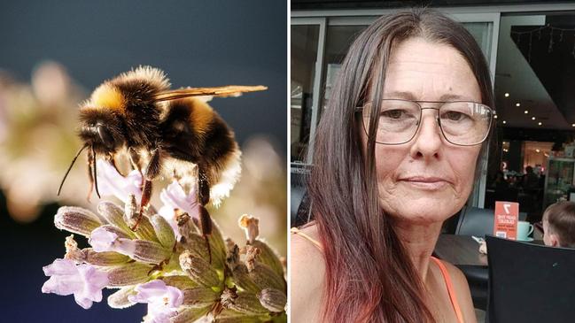 THUMBNAIL: Redbank Plains residents report bizarre influx of dead bees