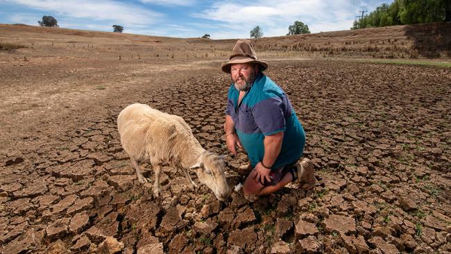 Victorian farmers have slammed the state government’s drought-relief package labelling it as “nowhere near enough”. Picture: Rob Leeson.