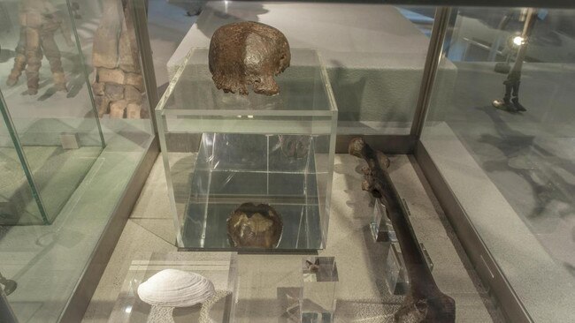 The Naturalis museum, which holds the skull of Javaman, says it ‘would not have been found if the Dutchman Dubois had not set up an excavation’