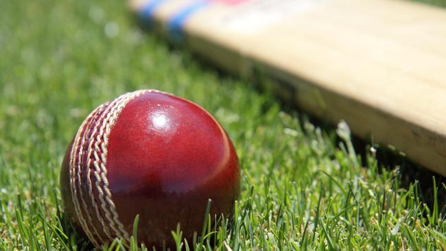 New cricket ball and bat on green grass.