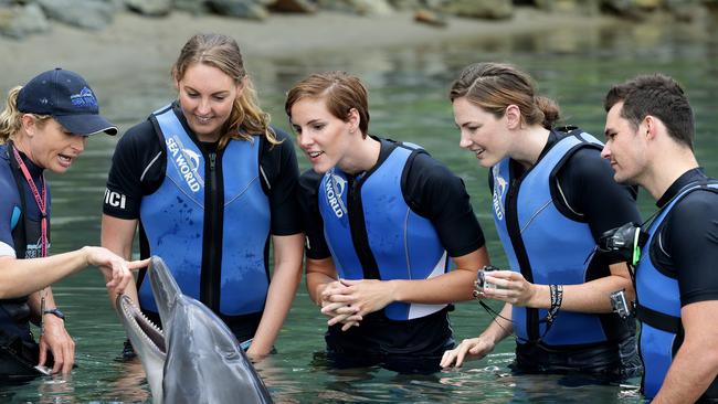 Australian swim team members Mel Gorman, Bronte Campbell, Cate Campbell and Christian Sprenger with Stella the dolphin at Sea World on the Gold Coast. Picture: Adam Head.