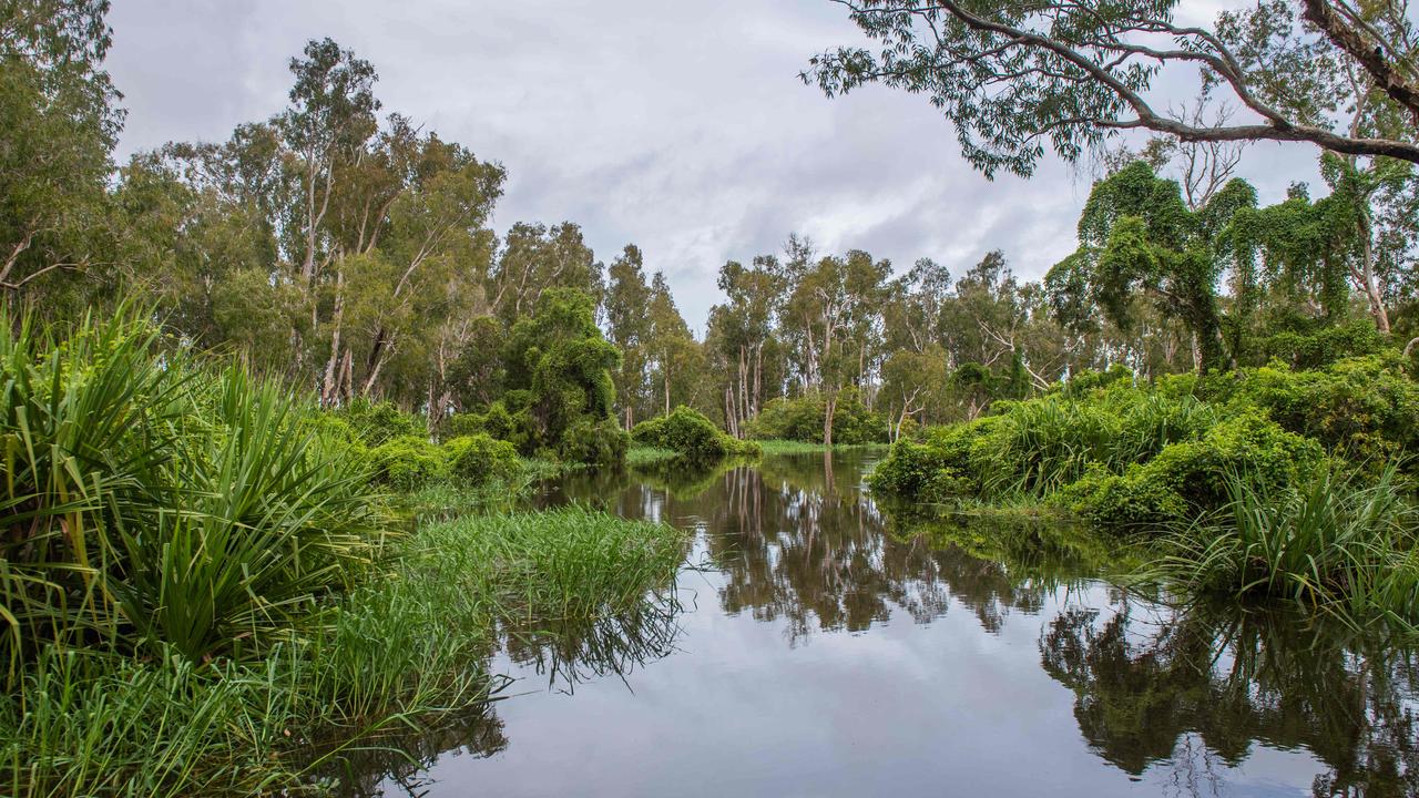 Kakadu National Park comes alive during the wet season. Guluyambi Wet Season Tour and Cruise takes you through the submerged paperbark forests of the National Park after heavy rains. Picture: Che Chorley