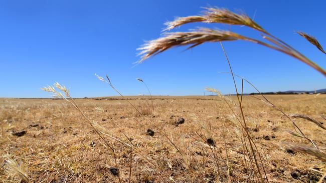 DROUGHT. Weather. Tom & Jenny Small at Tottington, their sheep property near St Arnaud. Dry. Lambs. Wool. WTSocial.Pictured: Landscape. PICTURE: ZOE PHILLIPS