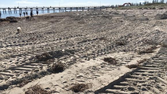 The Save Our Shores: Semaphore Largs Bay group has concerns about the beach was left after sand was carted from Largs Bay to Semaphore South. Picture: Supplied