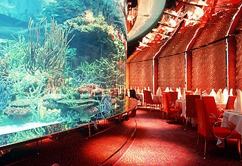 Fishy business ... the opulent Al Mahara restaurant in Dubai is a fine dining experience.