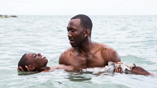 Moonlight is the perfect film.