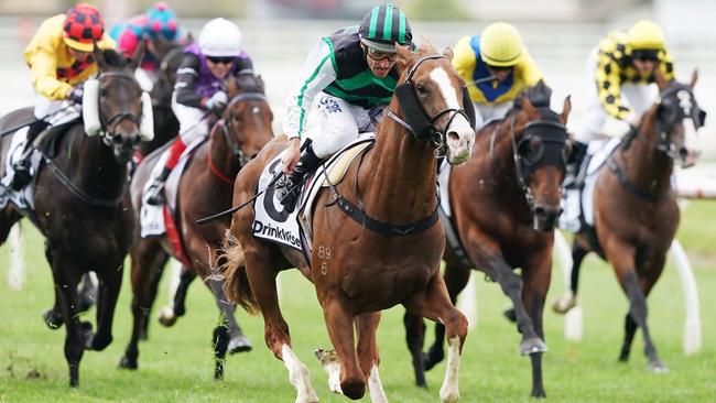 The thoroughbred industry is under more scrutiny than ever during their peak period of the spring carnival.