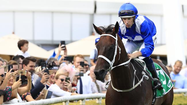 Winx has grabbed the attention of a nation with her stunning performances on the racetrack. Picture: Getty Images 