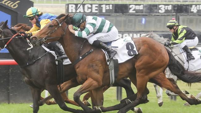 Girrawheen is ready to record a second career win when she heads to Muswellbrook. Picture: Bradley Photos